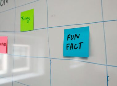 sticky notes on a wall with the words fun fact written on them