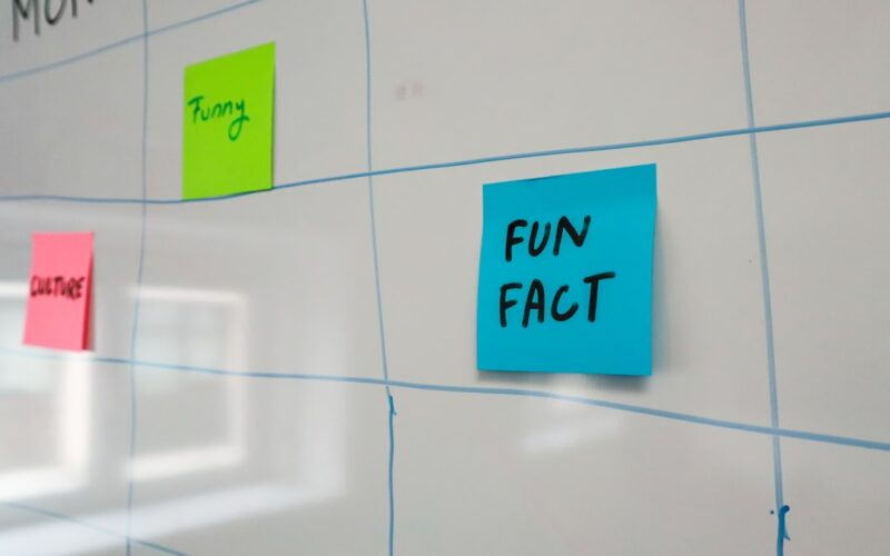 sticky notes on a wall with the words fun fact written on them